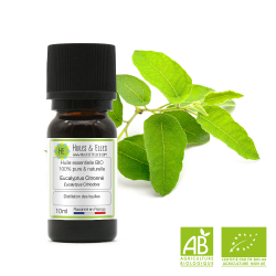 Eucalyptus citronné bio 10 ml huile essentielle - Sentier Nature